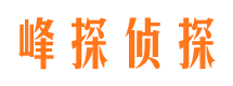 共和峰探私家侦探公司